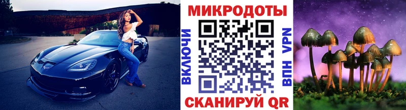 Псилоцибиновые грибы Psilocybe  даркнет сайт  Красный Холм 